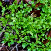 20141031-20141031-DSC06765