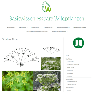 Basiswissen essbare Wildpflanzen