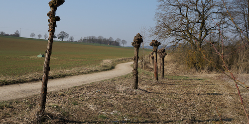 Ein schöner Spaziergang
