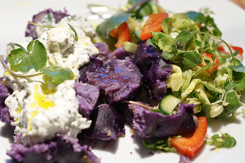 Wild und bunt – passend zu Ostern