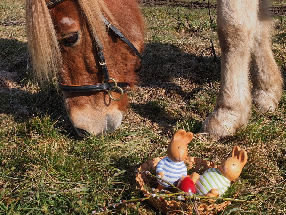Ostereier und Wildpflanzen suchen mit Pferd
