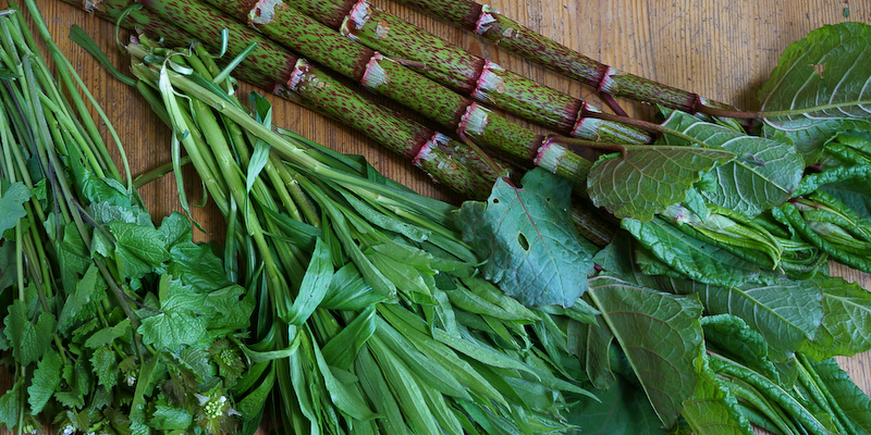 Kochseminar: Ein wildes Menü im April am Samstag 25. April&nbsp;14:00