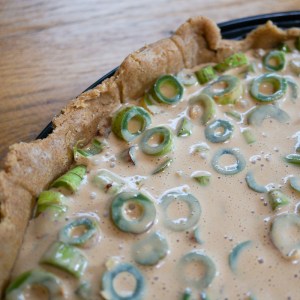 Japanischer-Knöterich-Kuchen