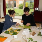 Beinwell-Ravioli füllen