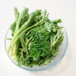 Bärenklau fürs Gemüse