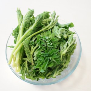 Bärenklau fürs Gemüse