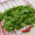 Lindenblätter für den Salat