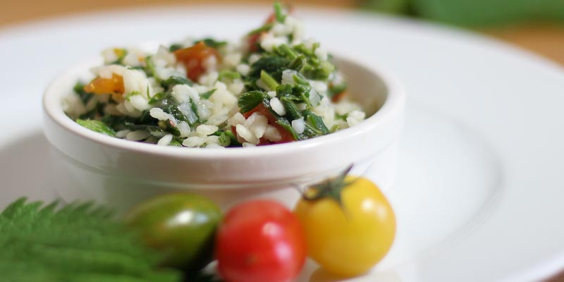 Veganes Brennnessel-Risotto