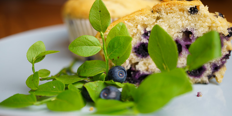 Heidelbeer-Joghurt-Muffins. Klein, blau,&nbsp;lecker