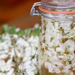 Robinienblütenwasser