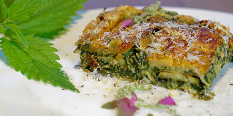 Das Hauptgericht: Gänsefuß-Brennnessel-Zucchini-Lasagne