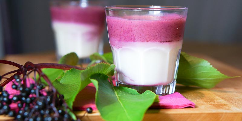 Ein Fall von Pink. Das Dessert zum Kochkurs „Wilde vegetarische Küche“.