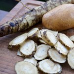 Klettenwurzel (Gobo)