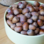 Eicheln der Roteiche