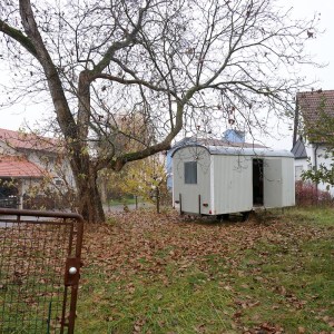 Noch im alten Garten