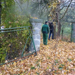 Ein paar Äste müssen weg