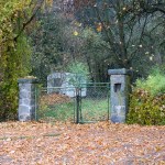 Jetzt ist er zu Hause