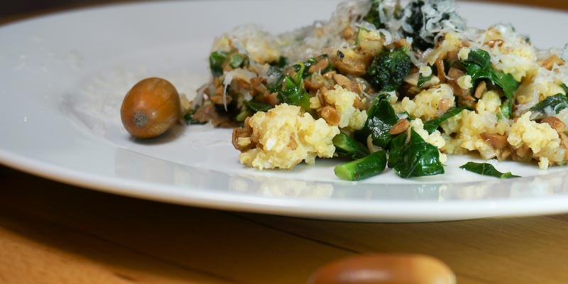 Eichel-Küche Teil 2. Eicheln mit Sprossbrokkoli und Hirse