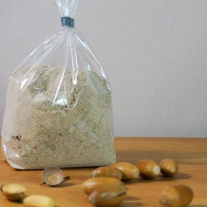 300 gr Eichelmehl