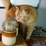 Braunes Eichelwasser