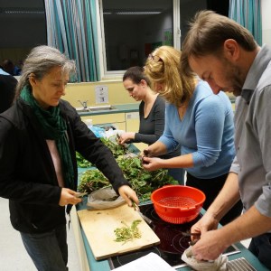 Das Linsen-Löwenzahnwurzel-Team