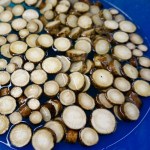 Klettenwurzel für die Suppe