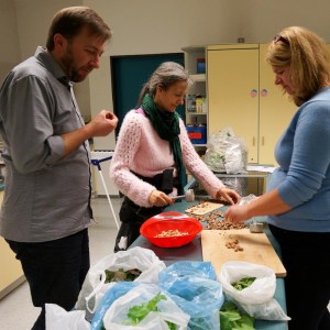 Löwenzahnwurzeln kosten