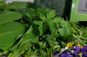 Zutaten für Wildkräutersauce