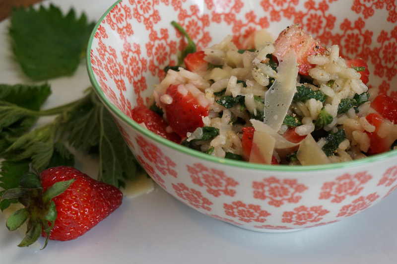 Wilde Frühjahrsküche – Die Qual der&nbsp;Wahl