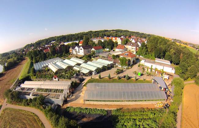 Die Sonne scheint.  Wildpflanzenspaziergang heute 17:00 beim&nbsp;Hauner