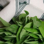 Bärlauch und Dinkelteig