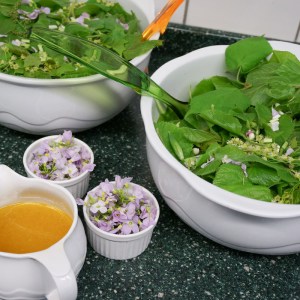 Lindenblättersalat mit Wiesenschaumkrautblüten