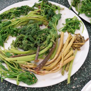 Mariniertes Wildgemüse