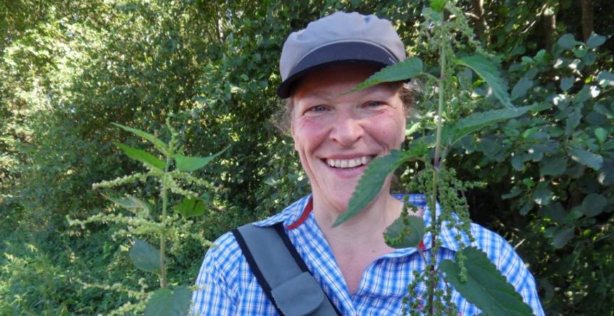 Essbare Wildpflanzen in den Donauauen – Morgen 17:00 Treffpunkt Biomarkt Neuhoff