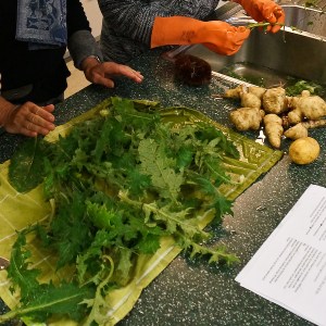 Blätter der Krausen Distel