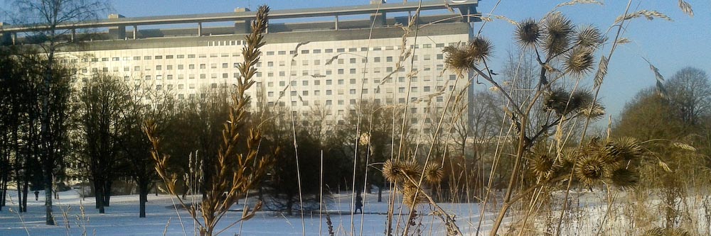 Blütenstände im Winter und Kursausfall bis Mitte&nbsp;März