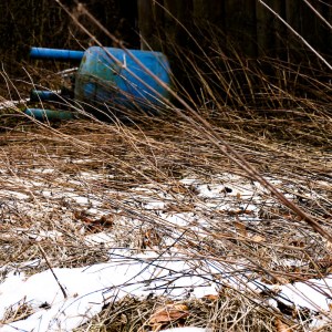 Trockene Brennnesselstrünke