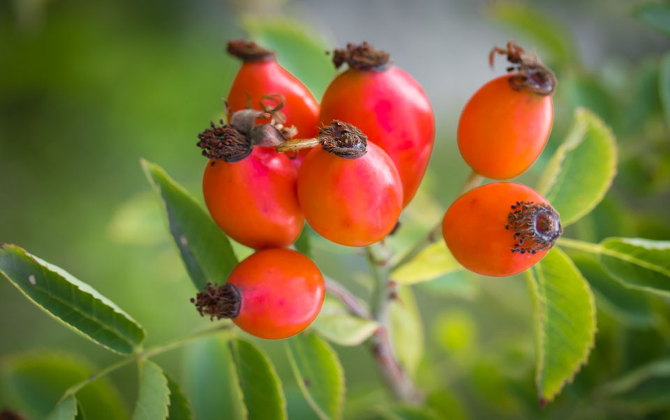 Das neue Programm von September bis Februar