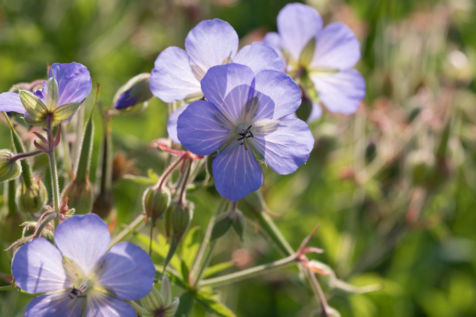 Am Sonntag geht’s ins Weintinger&nbsp;Hölzl