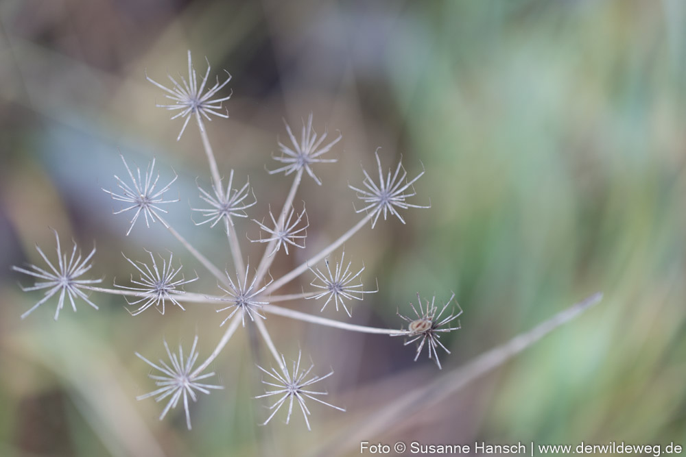 Fröhliche grüne Weihnachten