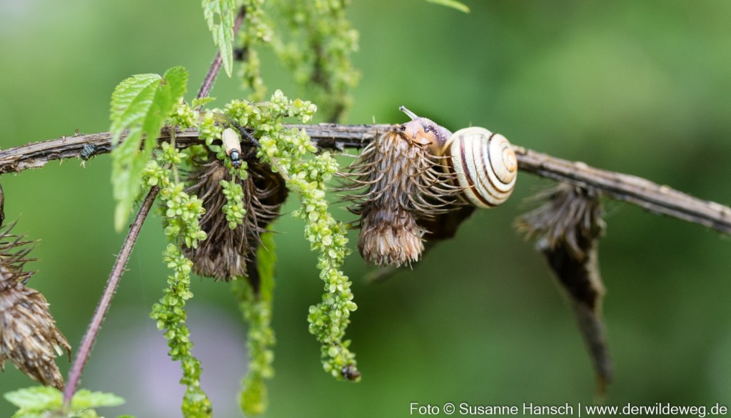 Neues Programm von März-Juli&nbsp;2018