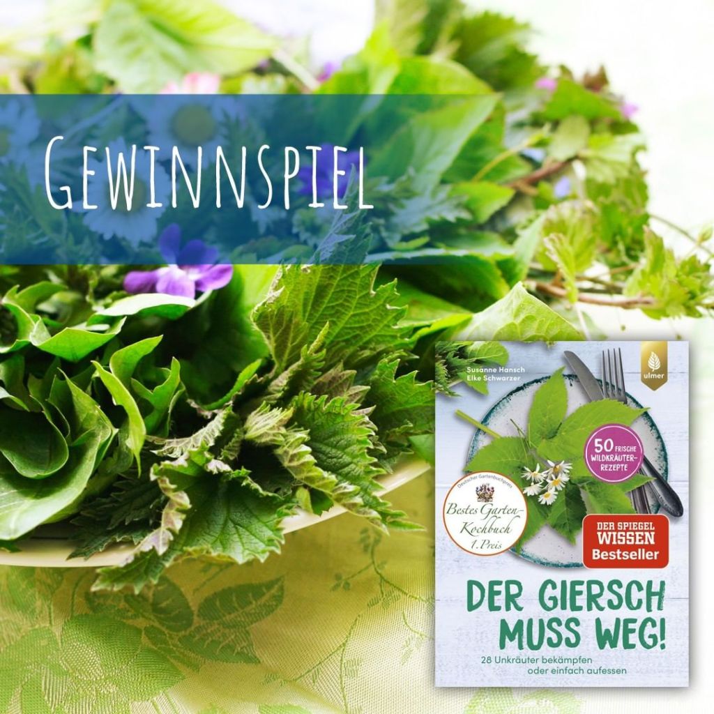 Gewinnspiel Der Giersch muss weg