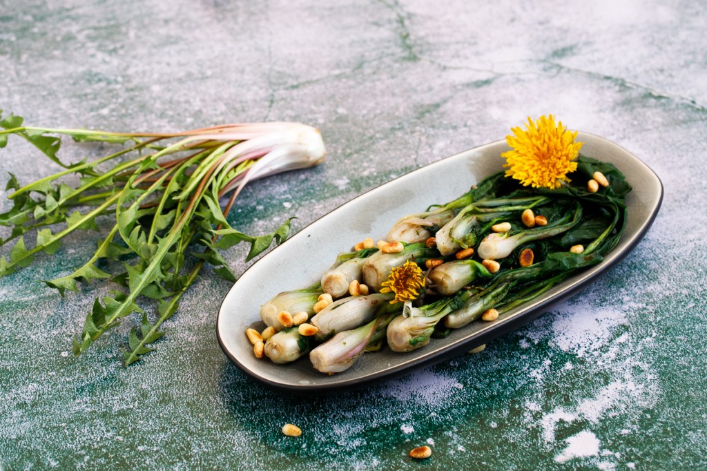 Köstlicher Löwenzahn